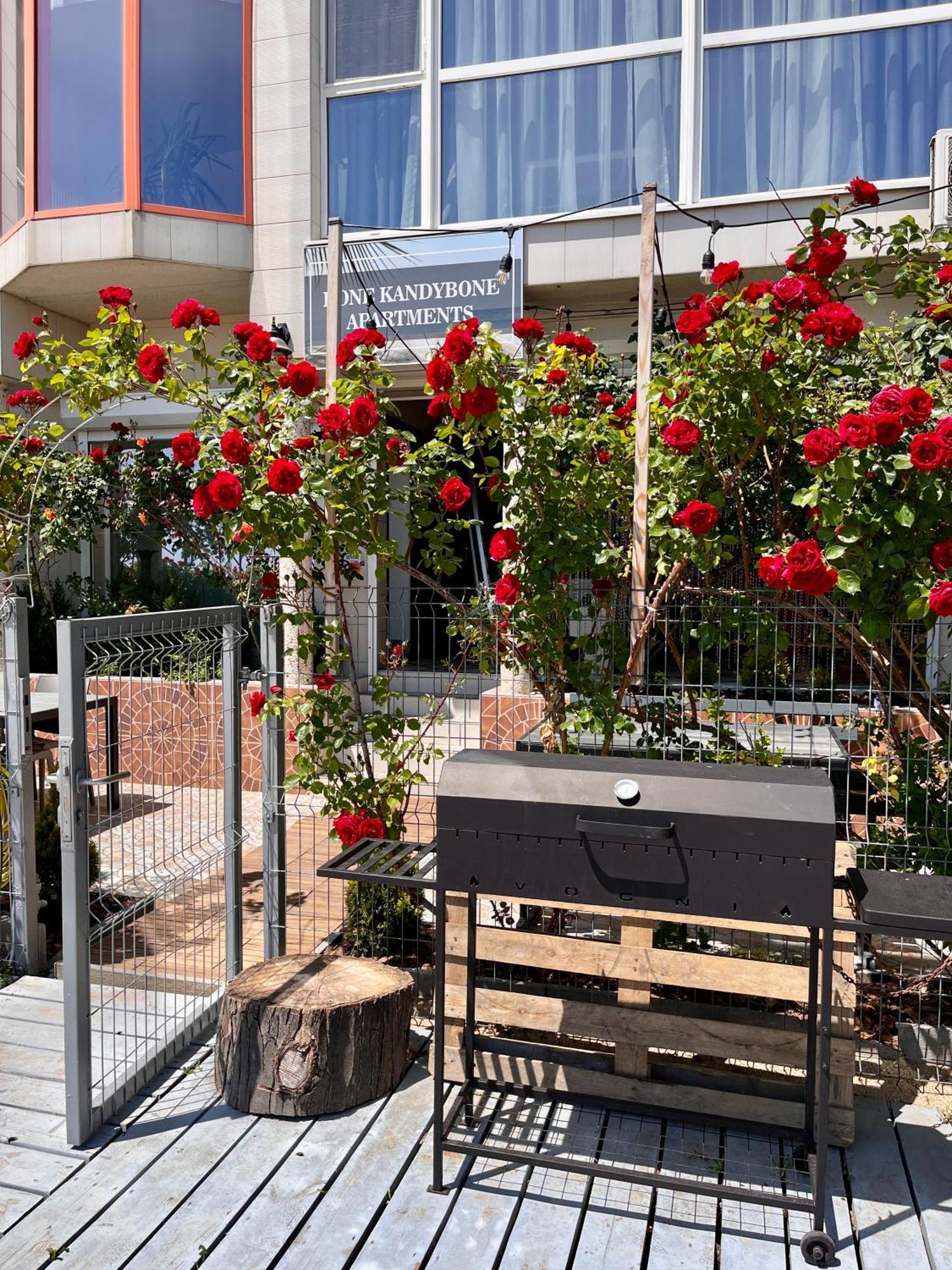 Done Kandybone Apartments Burlacsa Balka Kültér fotó